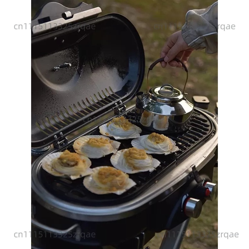 Réchaud de cuisson au gaz port - Outdoor Camping Griddle avis et prix